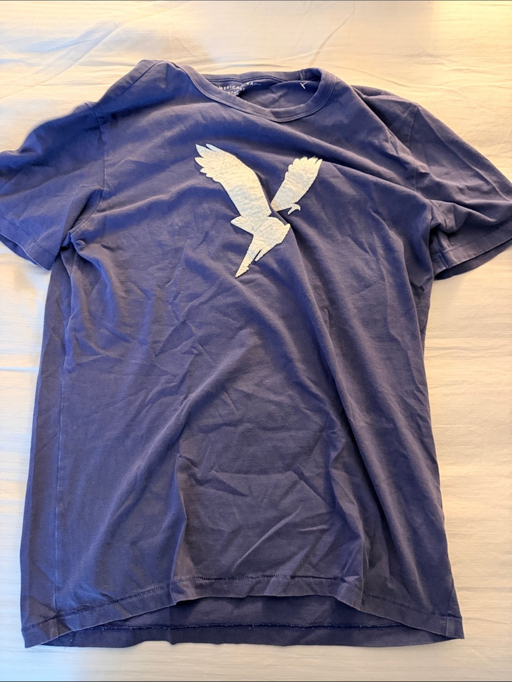 American Eagle Outfitters Men's Blue Tee with White Eagle Graphic